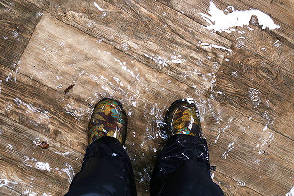 Water Damage Restoration Bakersfield