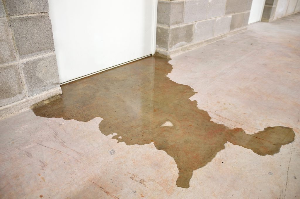 A home in Bakersfield shows has a puddle on the floor, showing signs of water damage.