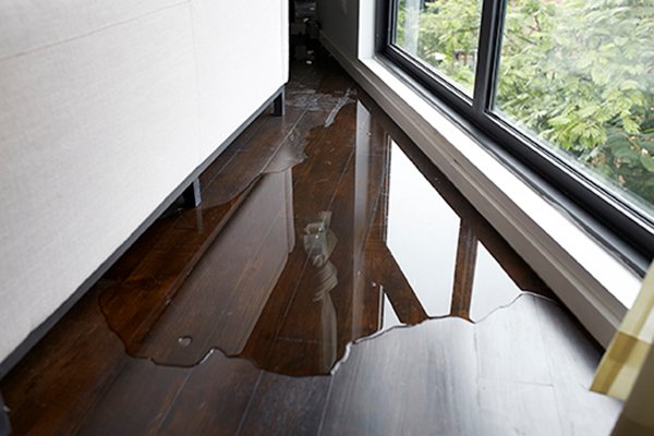 A puddle on hardwood floor behind a couch before water damage restoration.