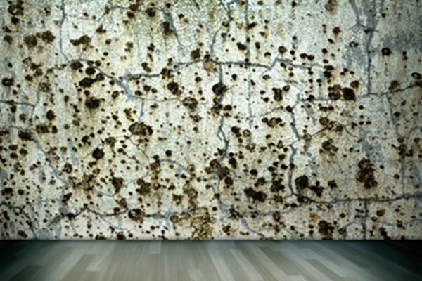 A mold covered wall in Bakersfield needs mold removal and remediation.