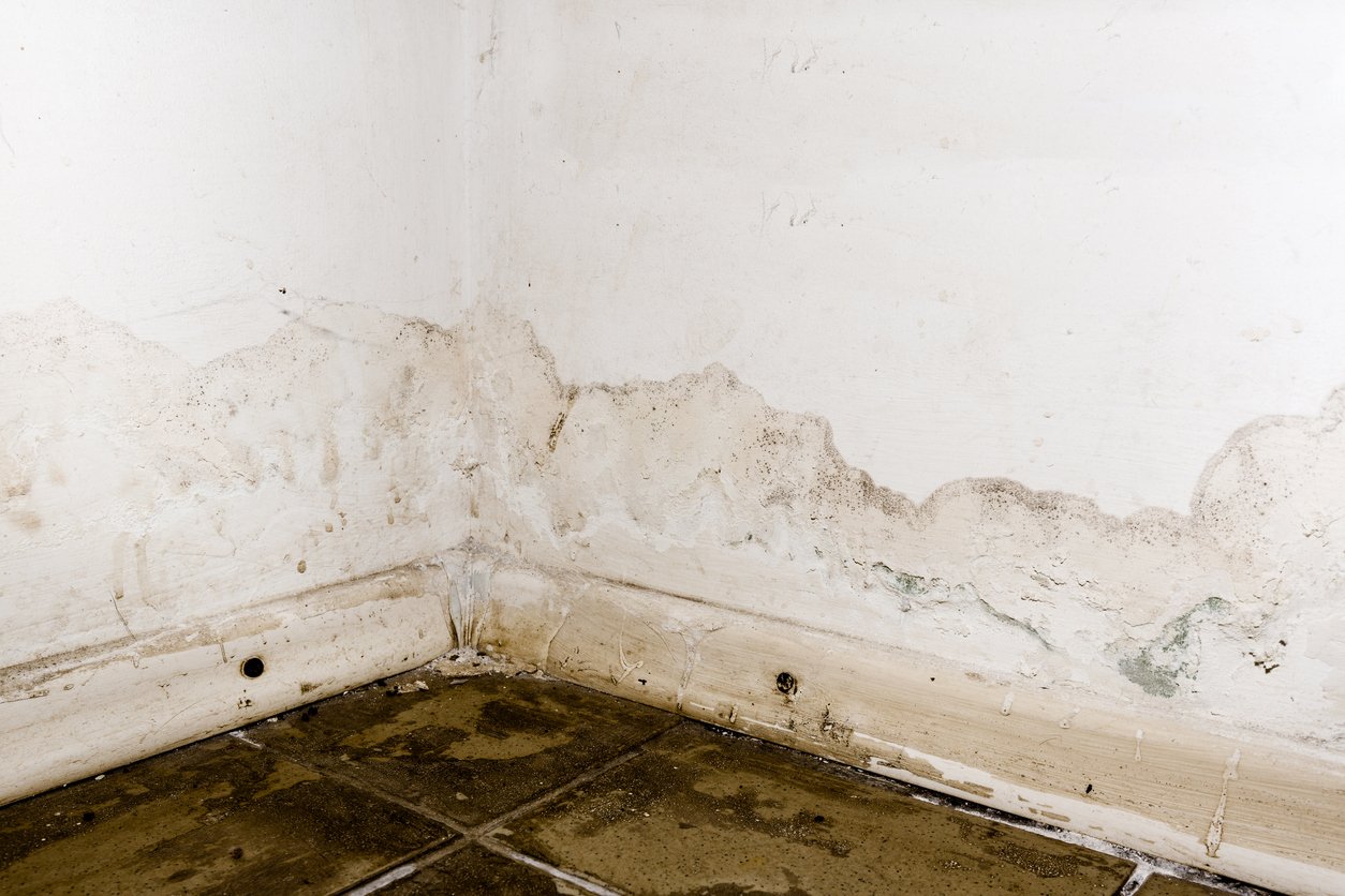 Water damage to a floor and wall in Bakersfield