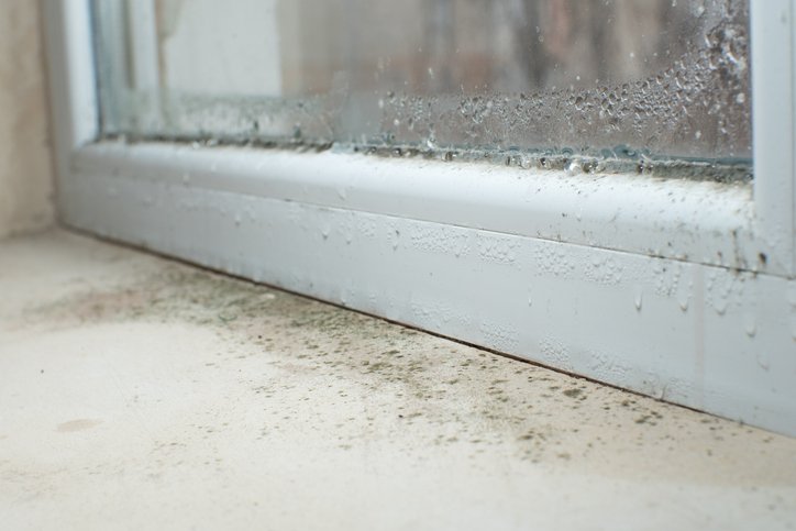 Mold on a windowsill in Bakersfield before mold removal services