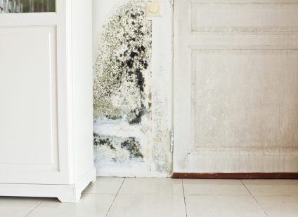 bakersfield mold removal