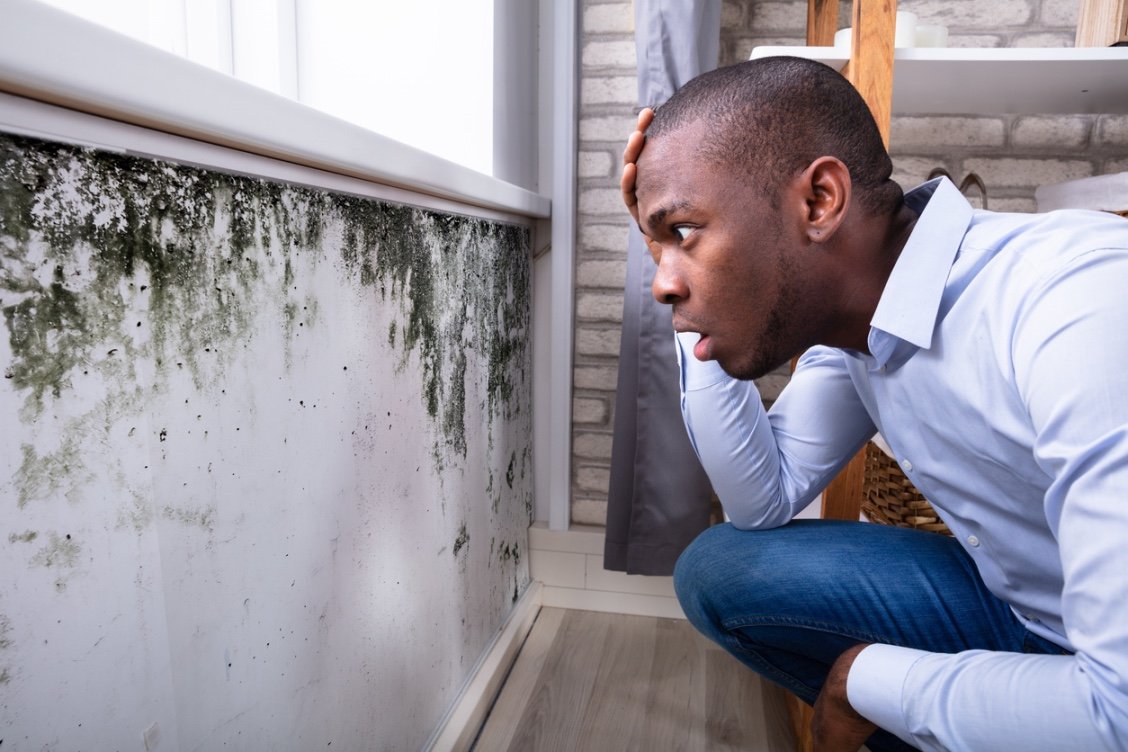 Homeowner surprised while examining mold damage in Bakersfield